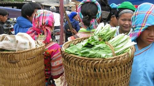 Sổ tay du lịch so tay du lich Sotaydulich Sotay Dulich Khampha Kham Pha Bui Ron rang sac mau Coc Pai