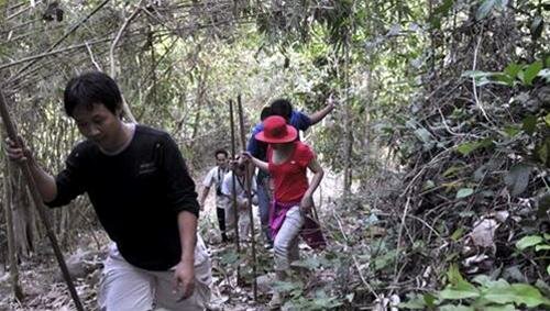Sổ tay du lịch so tay du lich Sotaydulich Sotay Dulich Khampha Kham Pha Bui Mot ngay tren nui DInh