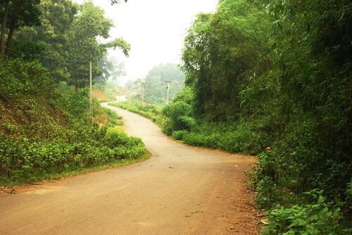 Sổ tay du lịch so tay du lich Sotaydulich Sotay Dulich Khampha Kham Pha Bui Ba Vi hai nua thanh binh 
