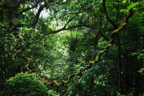 Sổ tay du lịch so tay du lich Sotaydulich Sotay Dulich Khampha Kham Pha Bui Ba Vi hai nua thanh binh 