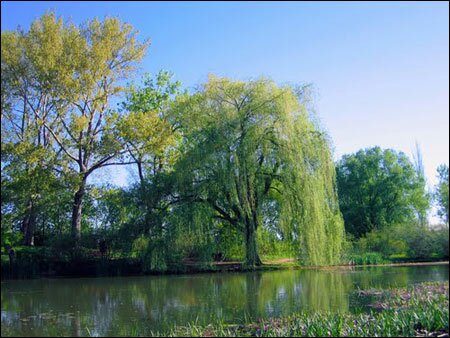 Sổ tay du lịch so tay du lich Sotaydulich Sotay Dulich Khampha Kham Pha Bui Kham pha pho co Montreal