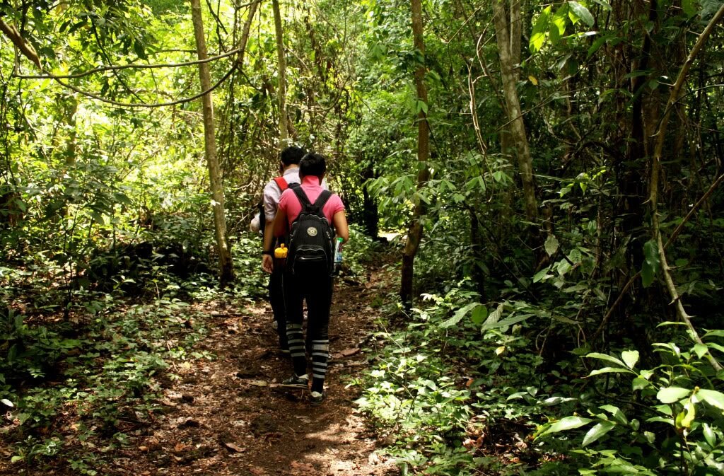 Sổ tay du lịch so tay du lich Sotaydulich Sotay Dulich Khampha Kham Pha Bui Kinh nghiem di rung nhiet doi