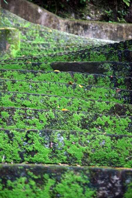 Sổ tay du lịch so tay du lich Sotaydulich Sotay Dulich Khampha Kham Pha Bui Kham pha ve nguyen so non nuoc Huong Son