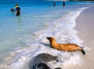 Sổ tay du lịch so tay du lich Sotaydulich Sotay Dulich Khampha Kham Pha Bui Nhung dieu ban chua biet ve quan dao Galapagos