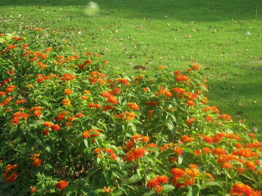 Sổ tay du lịch so tay du lich Sotaydulich Sotay Dulich Khampha Kham Pha Bui 10 dia diem chup hinh dep nhat quan 7