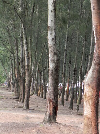 Sổ tay du lịch so tay du lich Sotaydulich Sotay Dulich Khampha Kham Pha Bui 10 dia diem chup hinh dep nhat quan 7