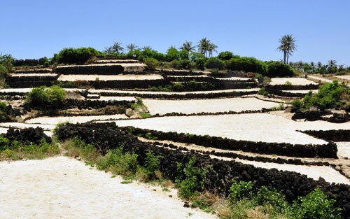 Sổ tay du lịch so tay du lich Sotaydulich Sotay Dulich Khampha Kham Pha Bui Tuyet tac nui lua de lai tren deo Ly Son