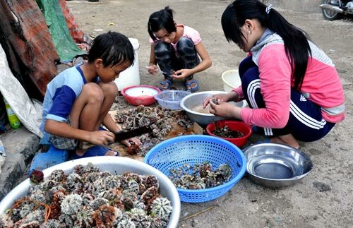 Sổ tay du lịch so tay du lich Sotaydulich Sotay Dulich Khampha Kham Pha Bui Tuyet tac nui lua de lai tren deo Ly Son