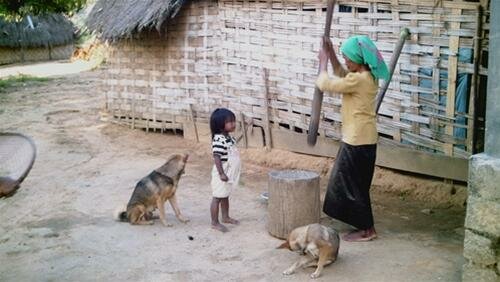 Sổ tay du lịch so tay du lich Sotaydulich Sotay Dulich Khampha Kham Pha Bui Kham pha Nam Ban bang xe phan khoi lon