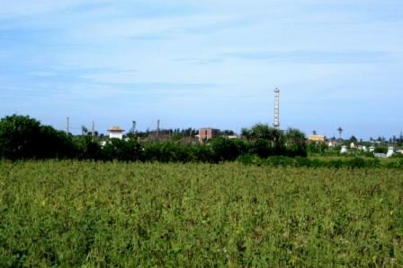 Sổ tay du lịch so tay du lich Sotaydulich Sotay Dulich Khampha Kham Pha Bui Kham pha dao Ly Son