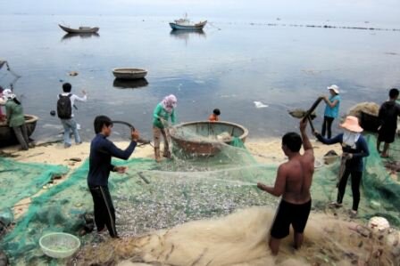 Sổ tay du lịch so tay du lich Sotaydulich Sotay Dulich Khampha Kham Pha Bui Kham pha dao Ly Son