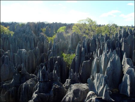 Sổ tay du lịch so tay du lich Sotaydulich Sotay Dulich Khampha Kham Pha Bui Kham pha vuon quoc gia Tsingy De Bemaraha, Madagascar