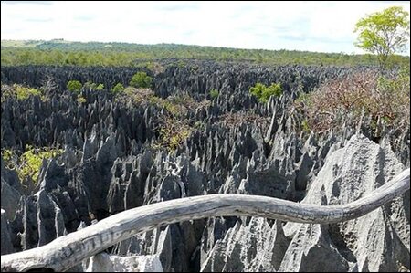 Sổ tay du lịch so tay du lich Sotaydulich Sotay Dulich Khampha Kham Pha Bui Kham pha vuon quoc gia Tsingy De Bemaraha, Madagascar