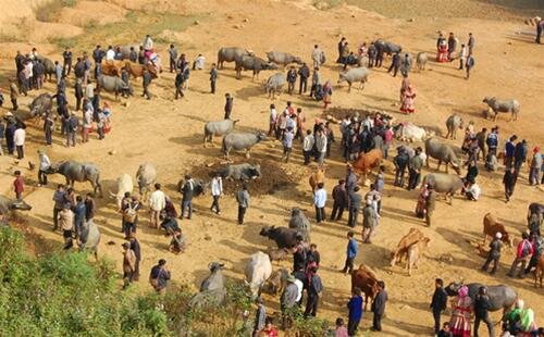 Sổ tay du lịch so tay du lich Sotaydulich Sotay Dulich Khampha Kham Pha Bui Doc dao cho trau Can Cau