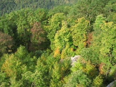 Sổ tay du lịch so tay du lich Sotaydulich Sotay Dulich Khampha Kham Pha Bui Thu Morgantown len nui cam trai