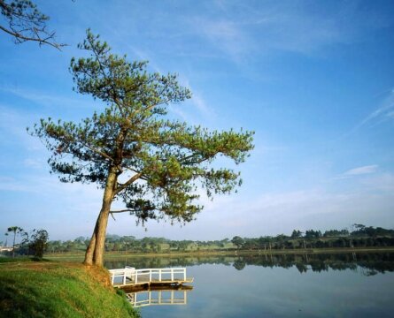 Sổ tay du lịch so tay du lich Sotaydulich Sotay Dulich Khampha Kham Pha Bui Ho tinh nhan o Da Lat