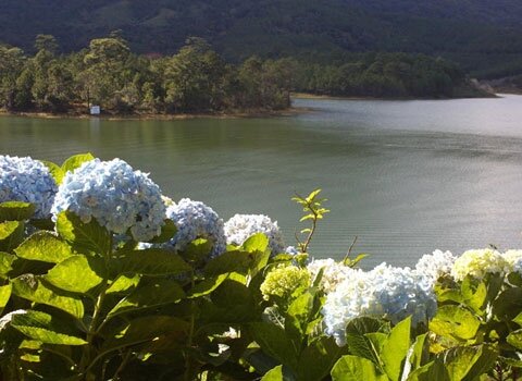 Sổ tay du lịch so tay du lich Sotaydulich Sotay Dulich Khampha Kham Pha Bui Ho tinh nhan o Da Lat