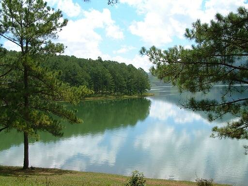 Sổ tay du lịch so tay du lich Sotaydulich Sotay Dulich Khampha Kham Pha Bui Ho tinh nhan o Da Lat