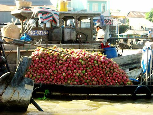 Sổ tay du lịch so tay du lich Sotaydulich Sotay Dulich Khampha Kham Pha Bui Ve dep dong bang song Cuu Long qua ong kinh nguoi My