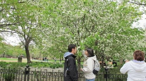 Sổ tay du lịch so tay du lich Sotaydulich Sotay Dulich Khampha Kham Pha Bui Toronto khuc giao mua