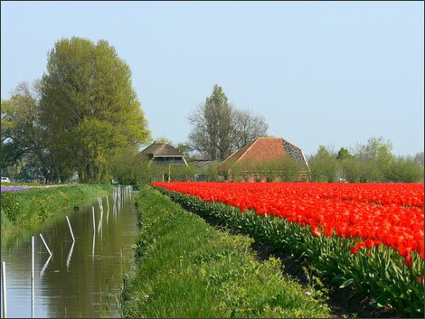 Sổ tay du lịch so tay du lich Sotaydulich Sotay Dulich Khampha Kham Pha Bui Alkmaar diem den hap dan