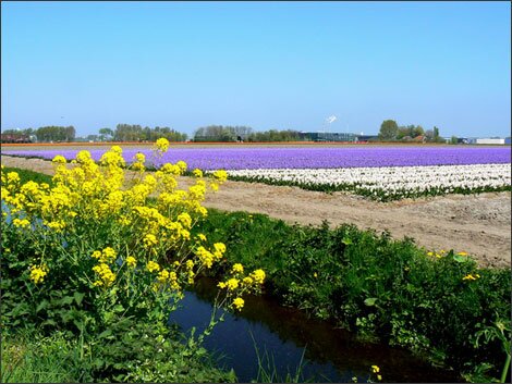Sổ tay du lịch so tay du lich Sotaydulich Sotay Dulich Khampha Kham Pha Bui Alkmaar diem den hap dan