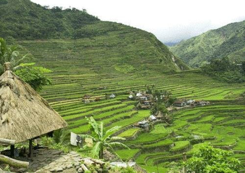 Sổ tay du lịch so tay du lich Sotaydulich Sotay Dulich Khampha Kham Pha Bui Chiem nguong ve dep ruong bac thang o Philippines 