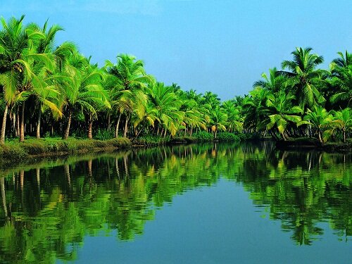 Sổ tay du lịch so tay du lich Sotaydulich Sotay Dulich Khampha Kham Pha Bui Ngoi lang Kumarakom xinh dep tren hon dao noi