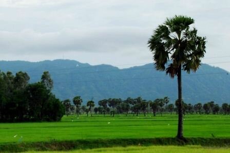 Sổ tay du lịch so tay du lich Sotaydulich Sotay Dulich Khampha Kham Pha Bui Ve That son tham quan nui Cam