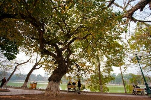 Sổ tay du lịch so tay du lich Sotaydulich Sotay Dulich Khampha Kham Pha Bui Ha Noi mua la do