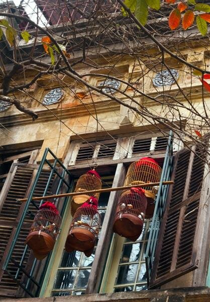 Sổ tay du lịch so tay du lich Sotaydulich Sotay Dulich Khampha Kham Pha Bui Ha Noi mua la do