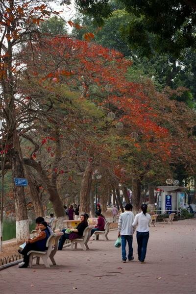 Sổ tay du lịch so tay du lich Sotaydulich Sotay Dulich Khampha Kham Pha Bui Ha Noi mua la do