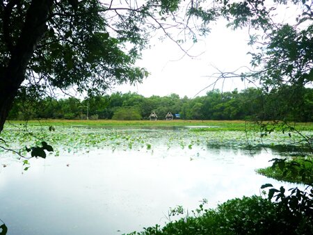Sổ tay du lịch so tay du lich Sotaydulich Sotay Dulich Khampha Kham Pha Bui Tram Tra Loc ve dep hoang so day quyen ru
