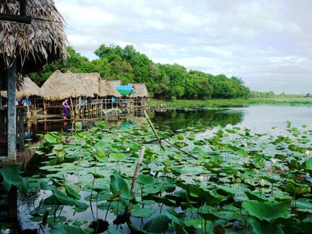 Sổ tay du lịch so tay du lich Sotaydulich Sotay Dulich Khampha Kham Pha Bui Tram Tra Loc ve dep hoang so day quyen ru