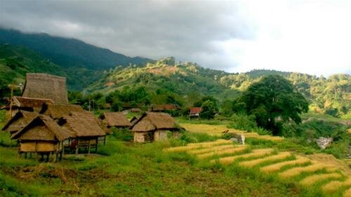 Sổ tay du lịch so tay du lich Sotaydulich Sotay Dulich Khampha Kham Pha Bui Ruong bac thang o Tay Nguyen