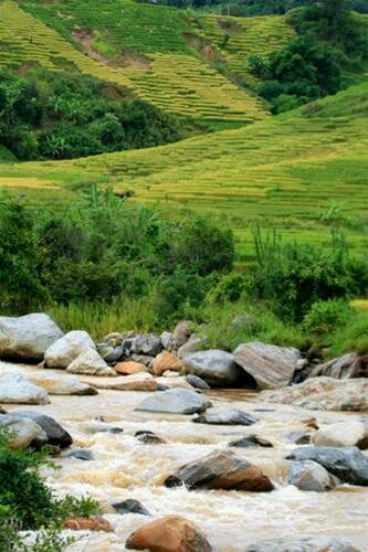 Sổ tay du lịch so tay du lich Sotaydulich Sotay Dulich Khampha Kham Pha Bui Ruong bac thang o Tay Nguyen