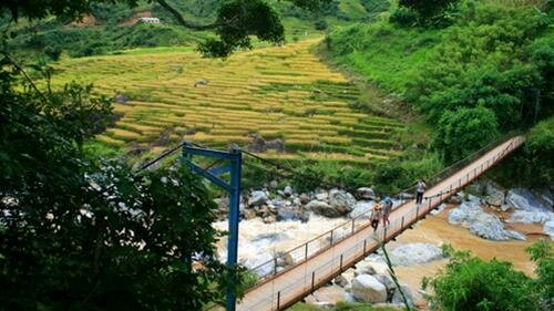 Sổ tay du lịch so tay du lich Sotaydulich Sotay Dulich Khampha Kham Pha Bui Ruong bac thang o Tay Nguyen