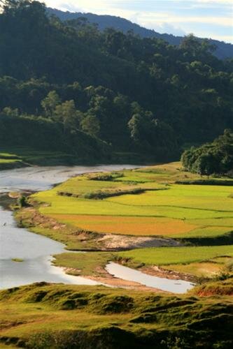 Sổ tay du lịch so tay du lich Sotaydulich Sotay Dulich Khampha Kham Pha Bui Ruong bac thang o Tay Nguyen
