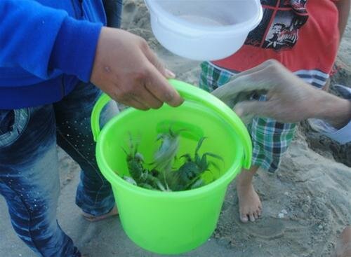 Sổ tay du lịch so tay du lich Sotaydulich Sotay Dulich Khampha Kham Pha Bui Au thuyen Tho Quang