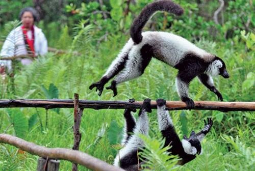 Sổ tay du lịch so tay du lich Sotaydulich Sotay Dulich Khampha Kham Pha Bui Thien nhien 4 sao o Madagascar