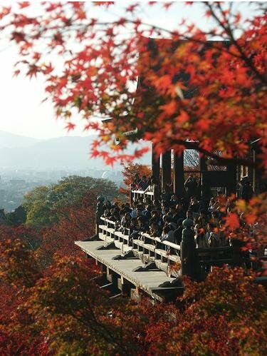 Sổ tay du lịch so tay du lich Sotaydulich Sotay Dulich Khampha Kham Pha Bui Mua Koyo nong nan