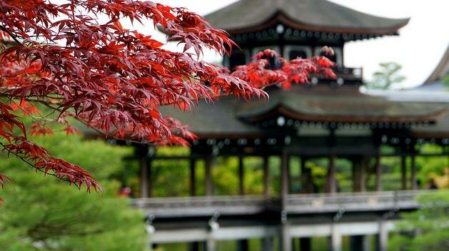 Sổ tay du lịch so tay du lich Sotaydulich Sotay Dulich Khampha Kham Pha Bui Mua Koyo nong nan