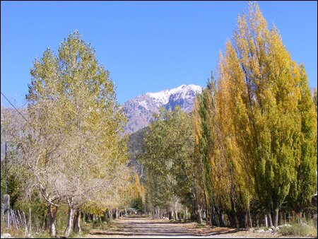 Sổ tay du lịch so tay du lich Sotaydulich Sotay Dulich Khampha Kham Pha Bui Mendoza diem den hap dan cua Argentina