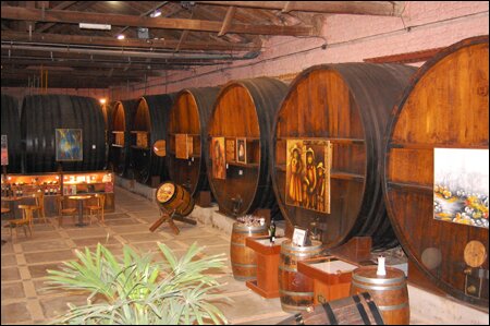 Sổ tay du lịch so tay du lich Sotaydulich Sotay Dulich Khampha Kham Pha Bui Mendoza diem den hap dan cua Argentina