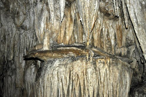 Sổ tay du lịch so tay du lich Sotaydulich Sotay Dulich Khampha Kham Pha Bui Ky thu hang dong Pu Sam Cap