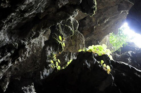 Sổ tay du lịch so tay du lich Sotaydulich Sotay Dulich Khampha Kham Pha Bui Ky thu hang dong Pu Sam Cap
