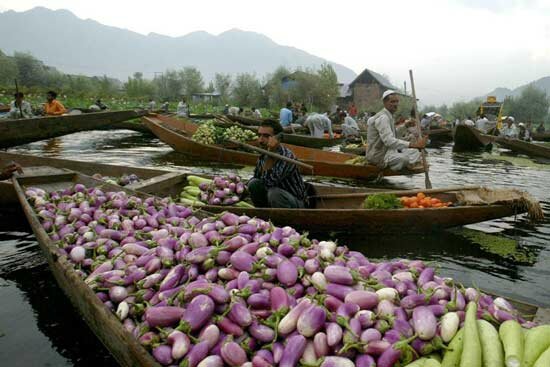 Sổ tay du lịch so tay du lich Sotaydulich Sotay Dulich Khampha Kham Pha Bui Tham khu cho noi Damnoen Saduak o Thai lan
