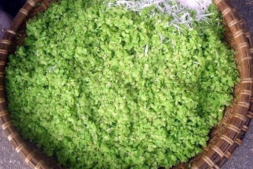 Sổ tay du lịch so tay du lich Sotaydulich Sotay Dulich Khampha Kham Pha Bui Ngot bui com An Chau