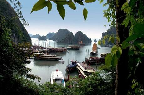 Sổ tay du lịch so tay du lich Sotaydulich Sotay Dulich Khampha Kham Pha Bui Bong benh non nuoc Ha Long