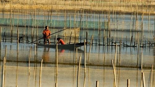 Sổ tay du lịch so tay du lich Sotaydulich Sotay Dulich Khampha Kham Pha Bui Ve dam Chuon